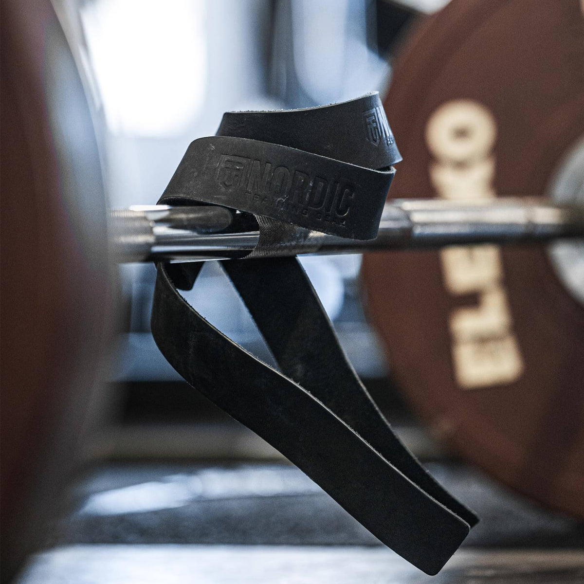 Lifting Straps Leather | NTGear.se