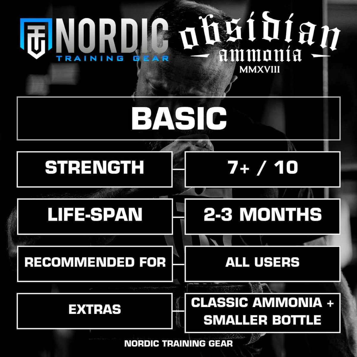 OBSIDIAN AMMONIA - BASIC